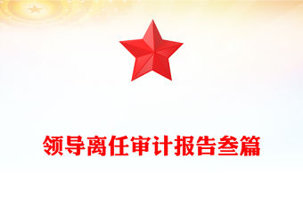 領導離任審計報告叁篇