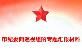 市紀委向巡視組的專題匯報材料