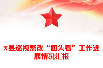 X縣巡視整改“回頭看”工作進展情況匯報