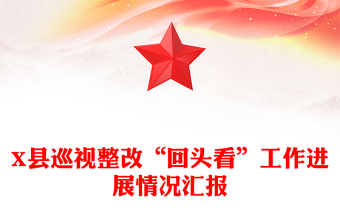 X縣巡視整改“回頭看”工作進展情況匯報