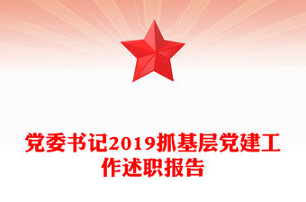 黨委書記2019抓基層黨建工作述職報告