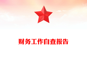 財務(wù)工作自查報告