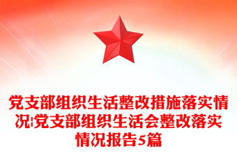 黨支部組織生活整改措施落實(shí)情況|黨支部組織生活會整改落實(shí)情況報(bào)告5篇