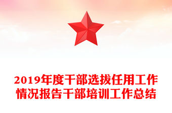 2019年度干部選拔任用工作情況報告干部培訓工作總結