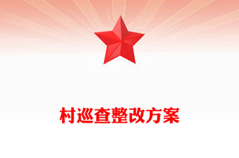 村巡查整改方案