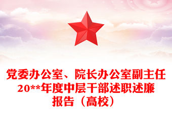 黨委辦公室、院長辦公室副主任20**年度中層干部述職述廉報(bào)告（高校）