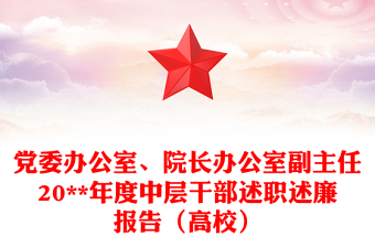 黨委辦公室、院長(zhǎng)辦公室副主任20**年度中層干部述職述廉報(bào)告（高校）