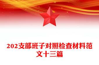 202支部班子對照檢查材料范文十三篇