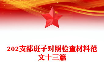 202支部班子對(duì)照檢查材料范文十三篇