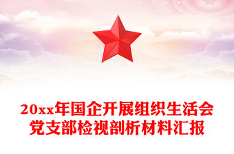 20xx年國企開展組織生活會黨支部檢視剖析材料匯報