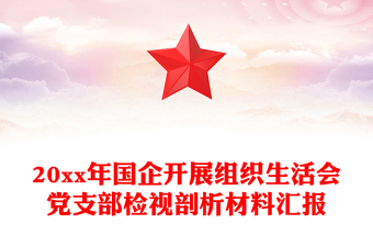 20xx年國企開展組織生活會黨支部檢視剖析材料匯報