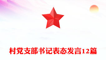 村黨支部書記表態發言12篇