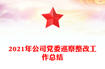 2021年公司黨委巡察整改工作總結(jié)