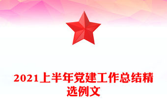 2021上半年黨建工作總結精選例文