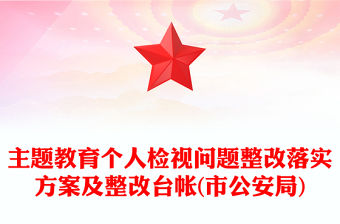 主題教育個人檢視問題整改落實方案及整改臺帳(市公安局)