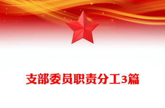 支部委員職責(zé)分工3篇