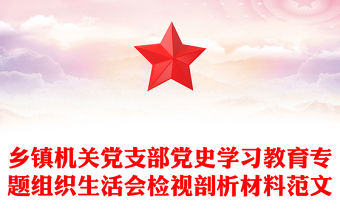 鄉(xiāng)鎮(zhèn)機(jī)關(guān)黨支部黨史學(xué)習(xí)教育專題組織生活會(huì)檢視剖析材料范文