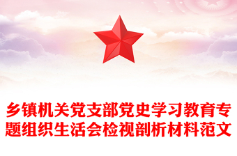 鄉(xiāng)鎮(zhèn)機(jī)關(guān)黨支部黨史學(xué)習(xí)教育專題組織生活會(huì)檢視剖析材料范文