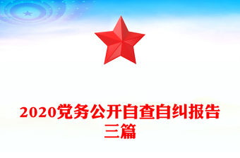 2020黨務公開自查自糾報告三篇
