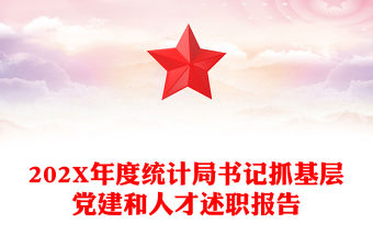 202X年度統計局書記抓基層黨建和人才述職報告