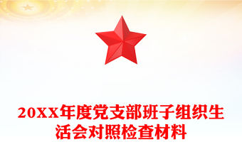 20XX年度黨支部班子組織生活會對照檢查材料