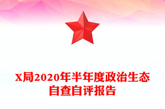 X局2020年半年度政治生態自查自評報告