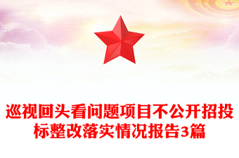 巡視回頭看問題項目不公開招投標(biāo)整改落實情況報告3篇
