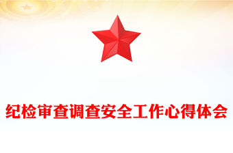 紀檢審查調查安全工作心得體會