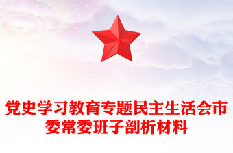黨史學習教育專題民主生活會市委常委班子剖析材料
