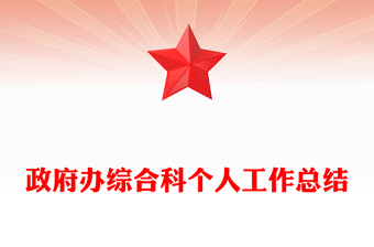 政府辦綜合科個(gè)人工作總結(jié)