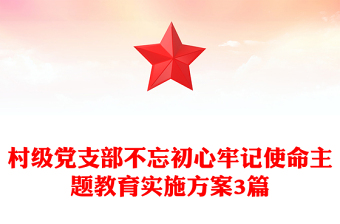 村級黨支部不忘初心牢記使命主題教育實施方案3篇