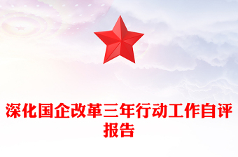 深化國企改革三年行動(dòng)工作自評(píng)報(bào)告