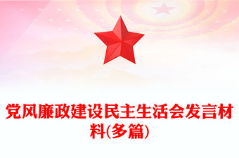 黨風廉政建設民主生活會發言材料(多篇)