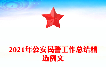 2021年公安民警工作總結(jié)精選例文
