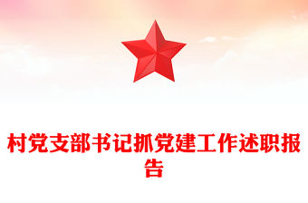 村黨支部書記抓黨建工作述職報告
