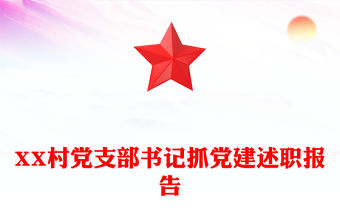 XX村黨支部書記抓黨建述職報告