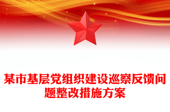 某市基層黨組織建設(shè)巡察反饋問題整改措施方案 某市基層黨組織建設(shè)巡察反饋問題整改措施方案