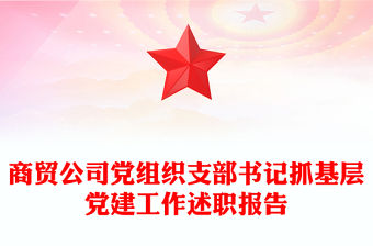 商貿公司黨組織支部書記抓基層黨建工作述職報告