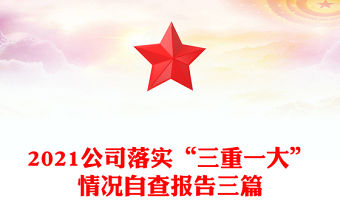 2021公司落實“三重一大”情況自查報告三篇