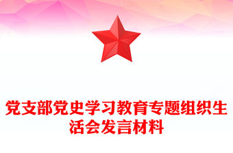 黨支部黨史學(xué)習(xí)教育專題組織生活會(huì)發(fā)言材料