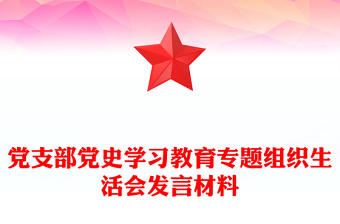 黨支部黨史學習教育專題組織生活會發(fā)言材料