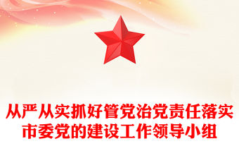 從嚴從實抓好管黨治黨責任落實市委黨的建設工作領導小組