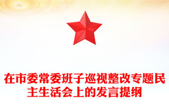在市委常委班子巡視整改專題民主生活會上的發言提綱