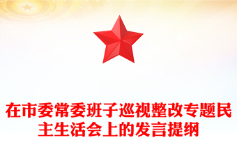 在市委常委班子巡視整改專(zhuān)題民主生活會(huì)上的發(fā)言提綱