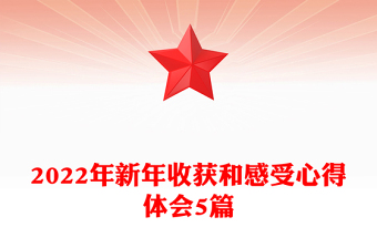 2022年新年收獲和感受心得體會(huì)5篇