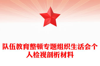 隊伍教育整頓專題組織生活會個人檢視剖析材料