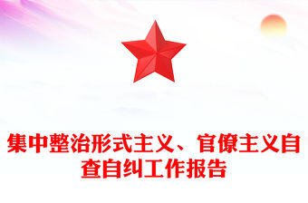 集中整治形式主義、官僚主義自查自糾工作報告