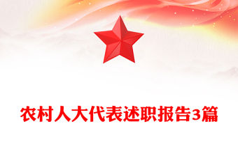 農村人大代表述職報告3篇