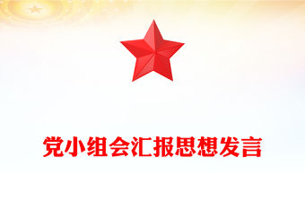 黨小組會匯報思想發言