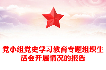 黨小組黨史學(xué)習(xí)教育專題組織生活會(huì)開(kāi)展情況的報(bào)告